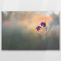 LW-075W050