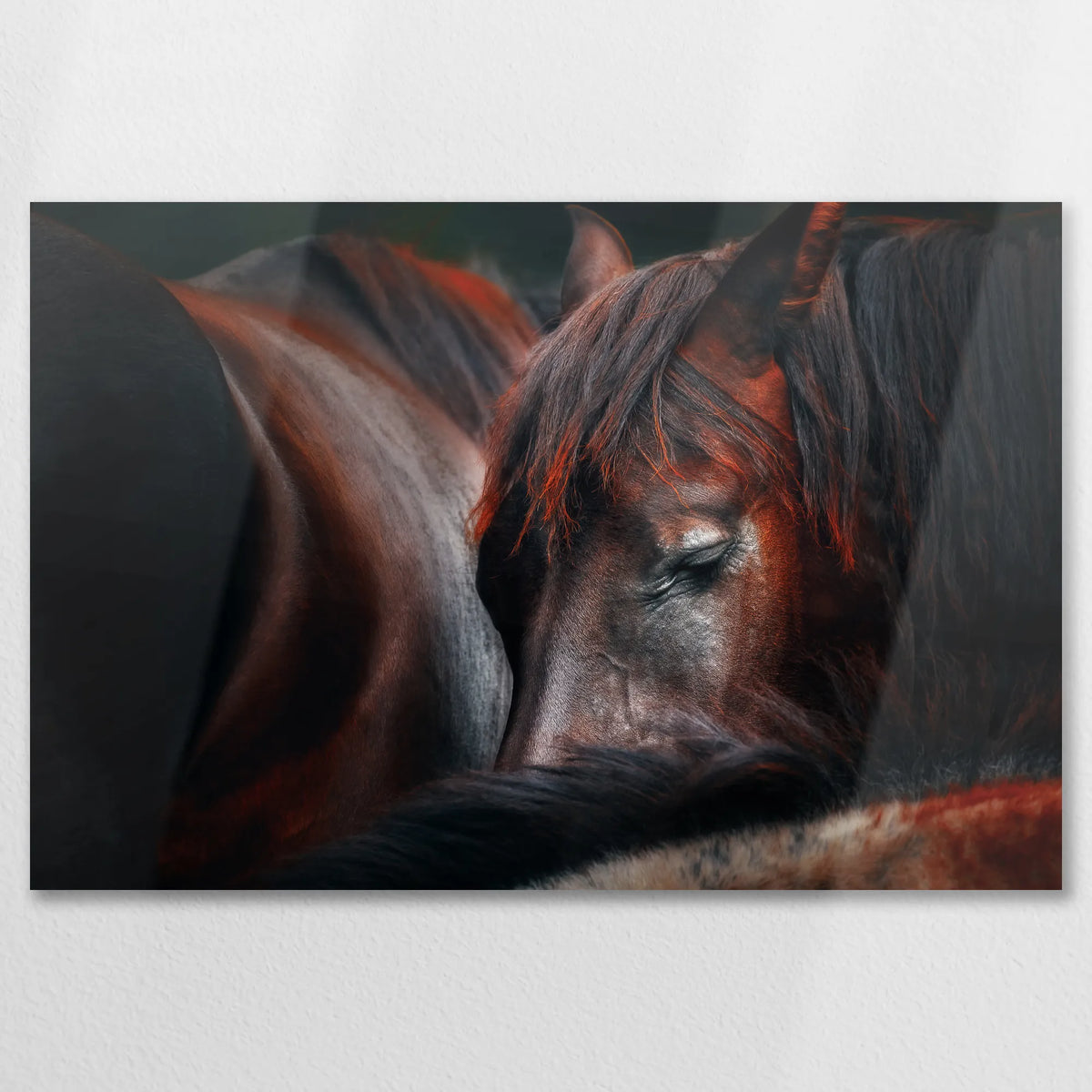 AL-075W050