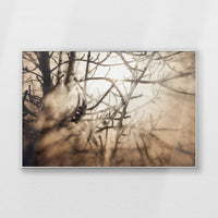 PS-120W080