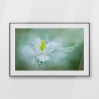 PBP100W070