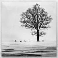 AC-050W050