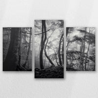 AC-060T040