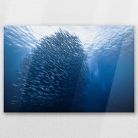 AC-030W020