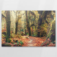 AC-090W060