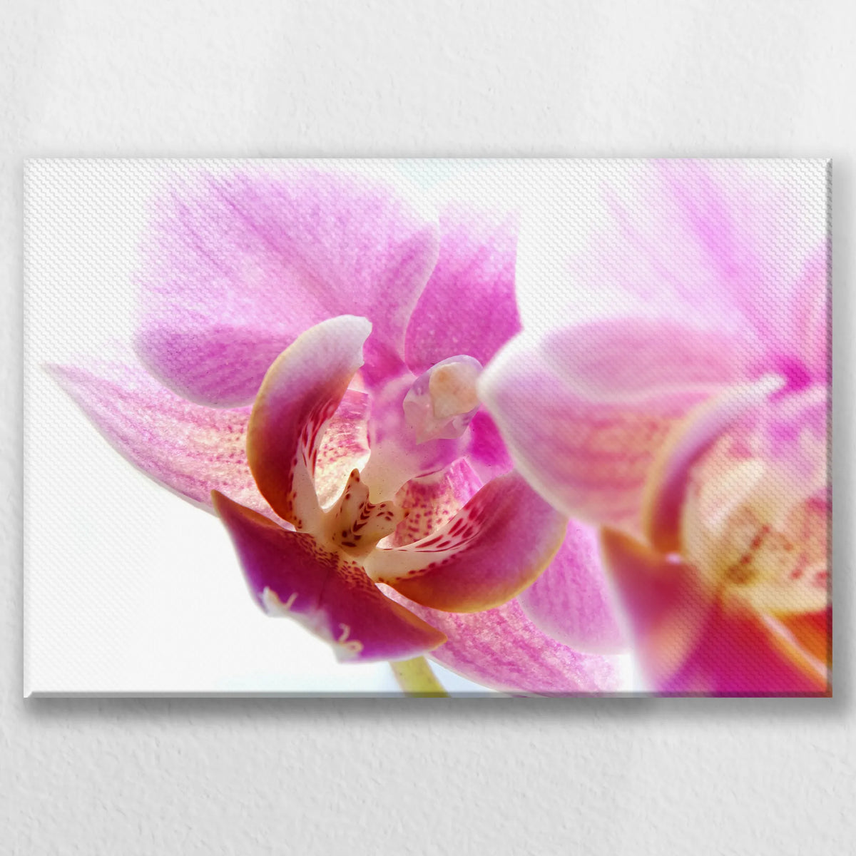 LW-045W030