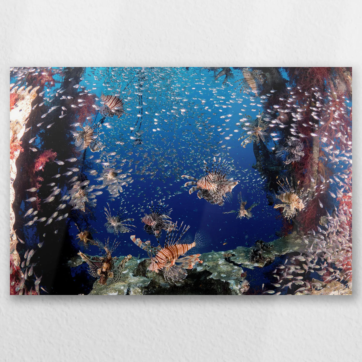 AL-060W040