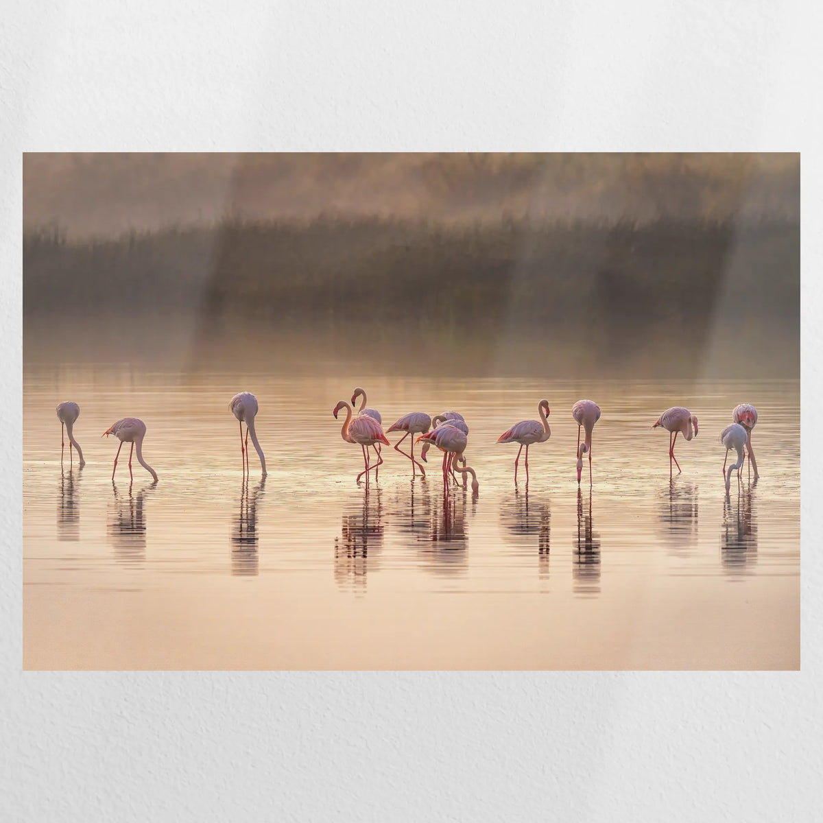 PO-075W050