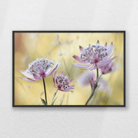 PB-060W040
