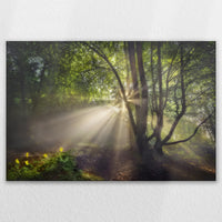 LW-120W080