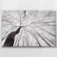 LW-030W020