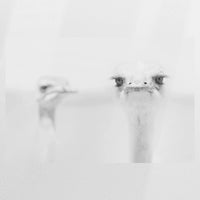 PO-120W080