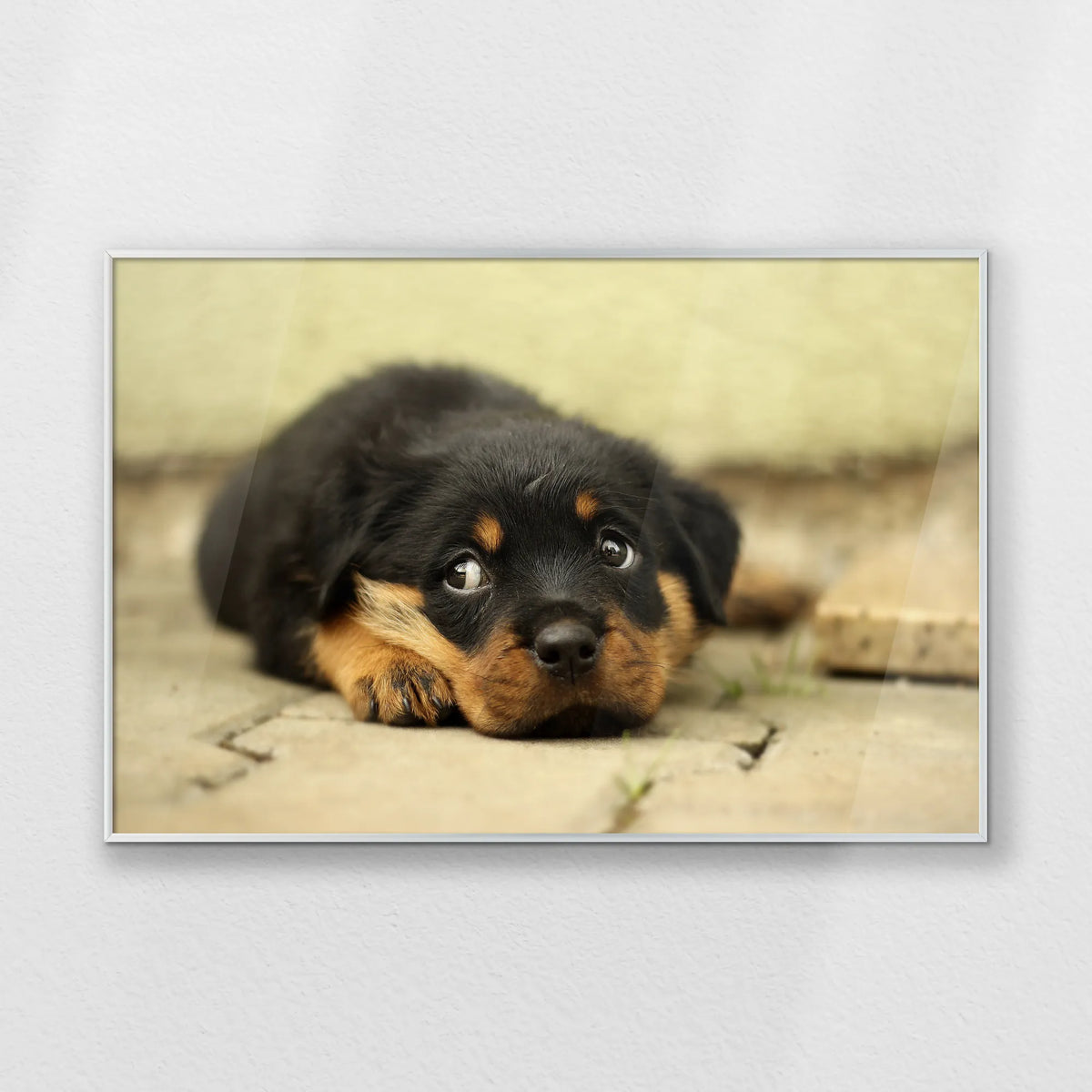 PS-093W062