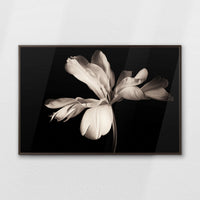 LWN120W080