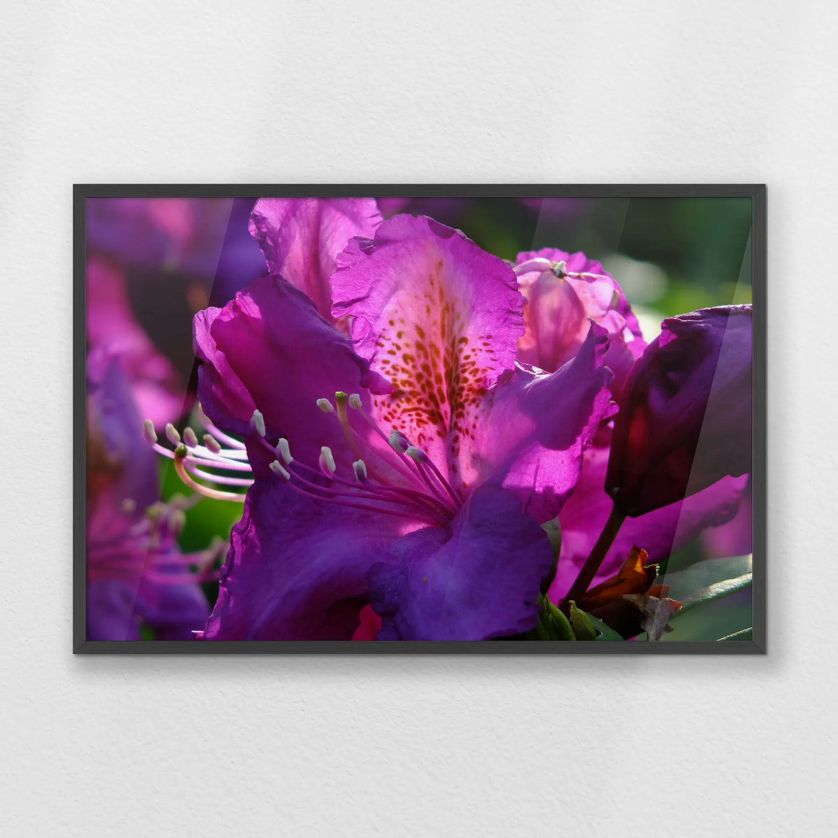 PK-093W062