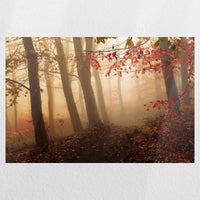 PO-030W020