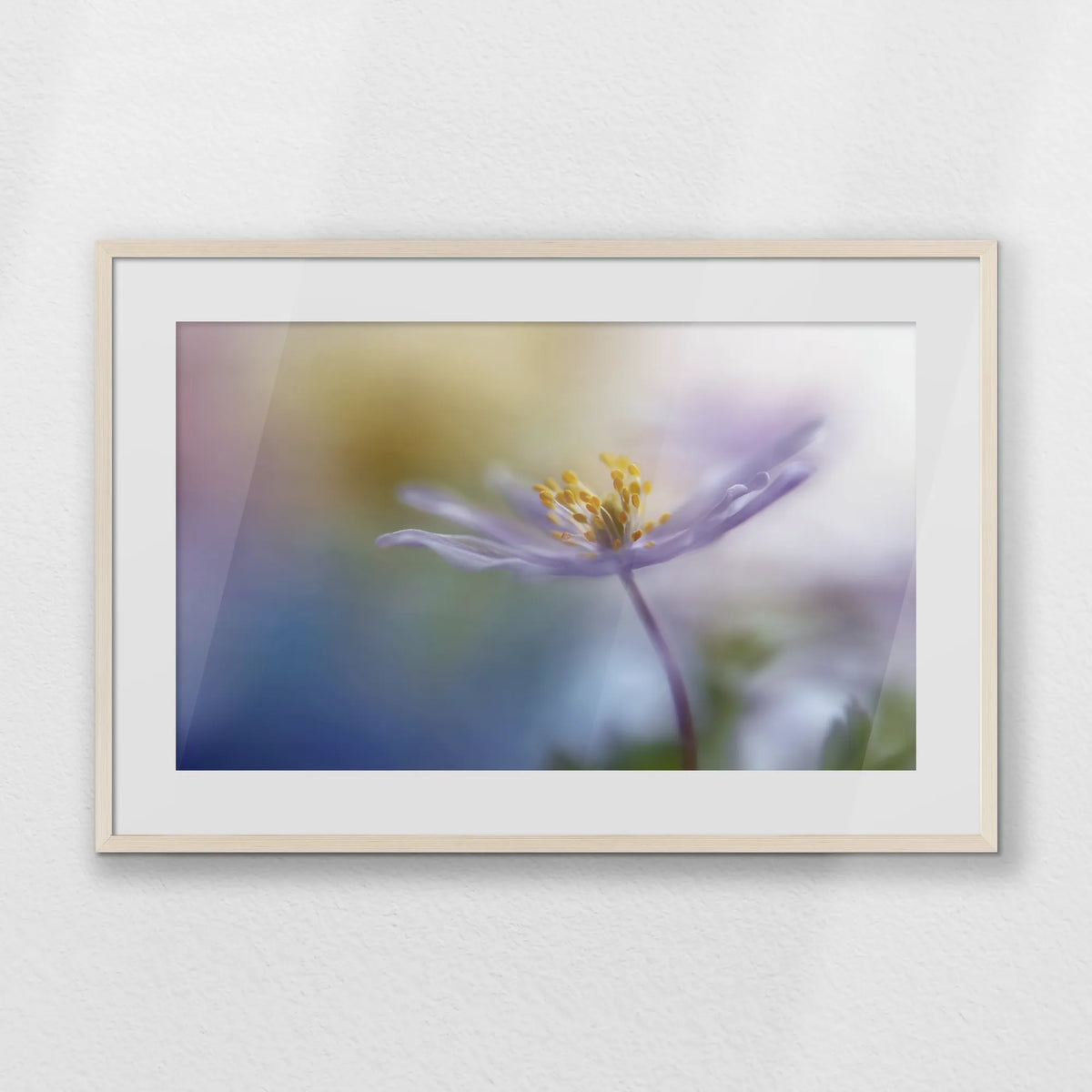 PNP093W062