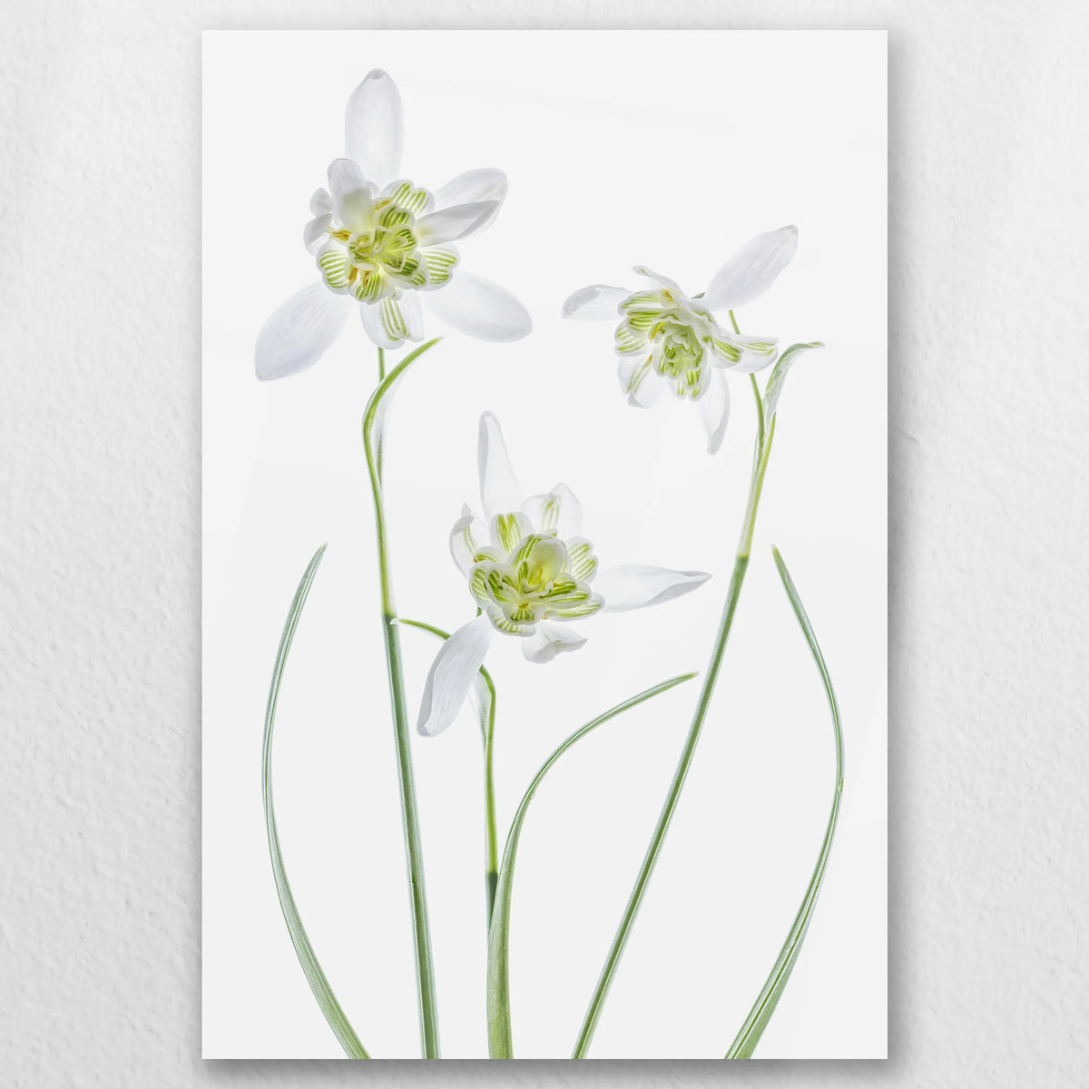 AC-050W075