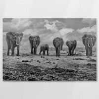 AL-090W060