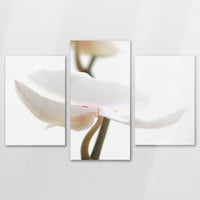 AL-150T100