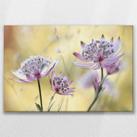 LW-075W050