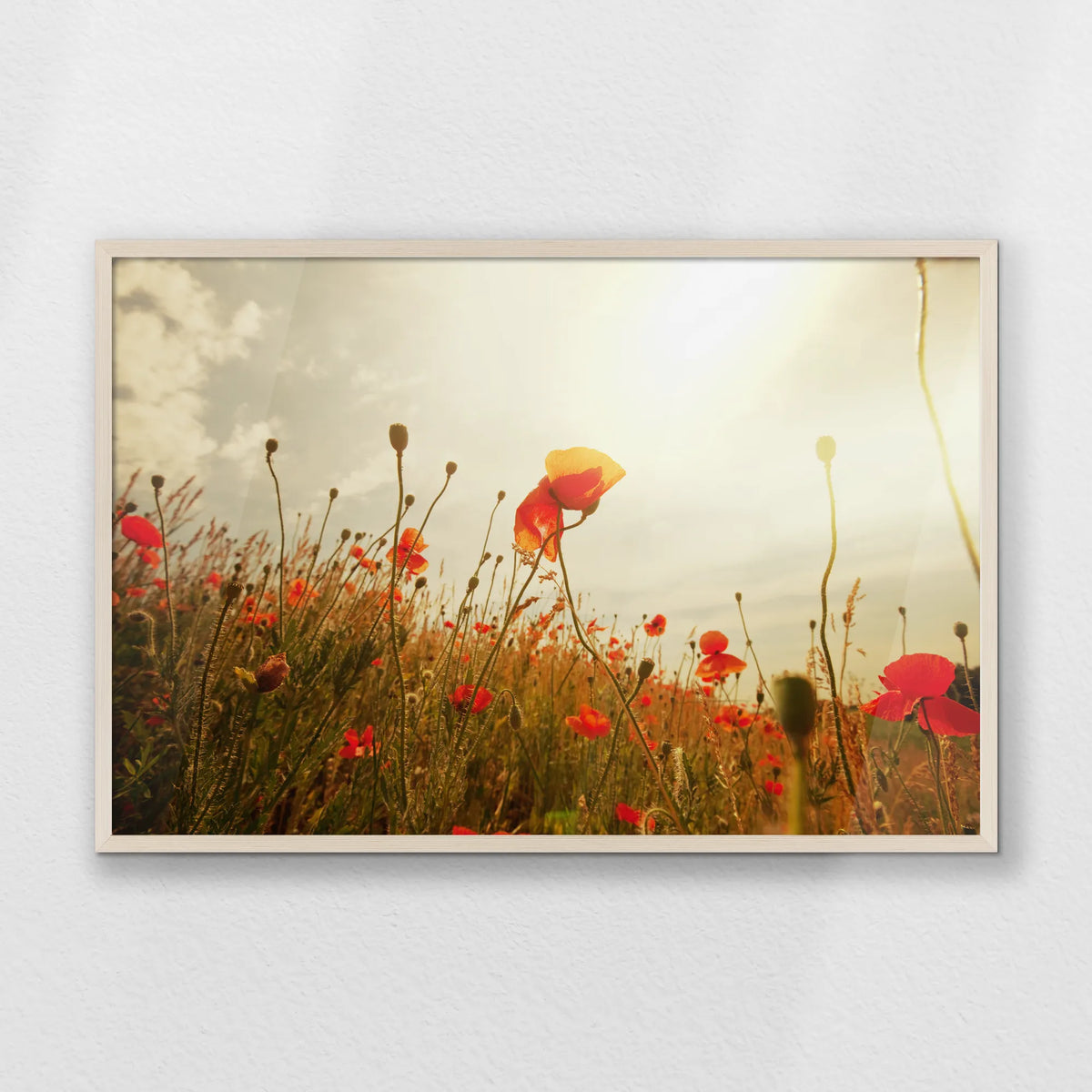 PN-093W062