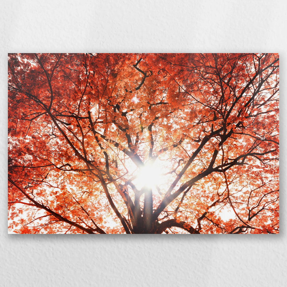 AL-045W030