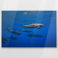 AC-060W040