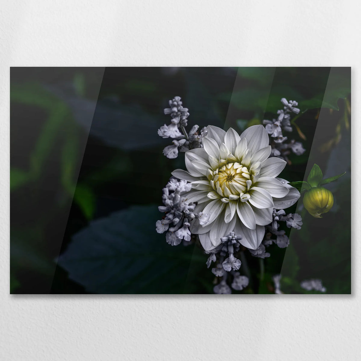 AC-075W050