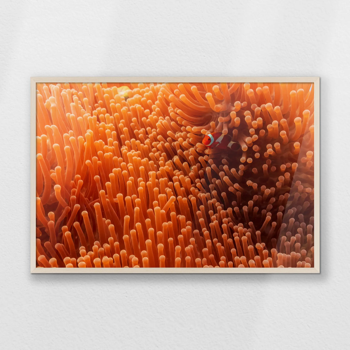 PN-093W062