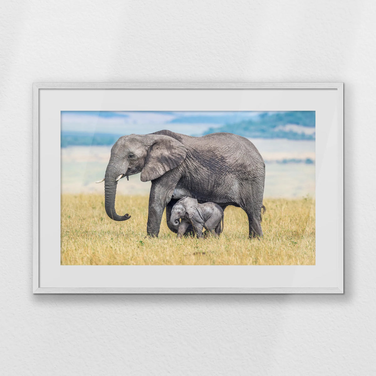 PWP093W062