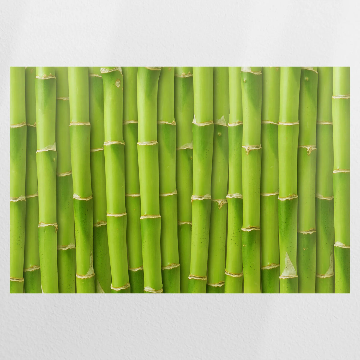 PO-075W050
