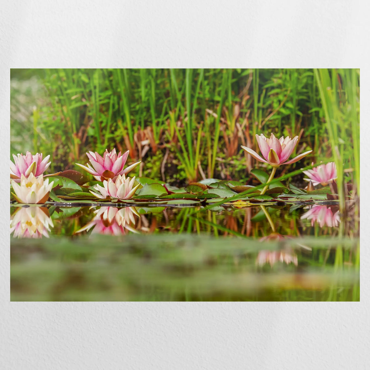 PO-090W060