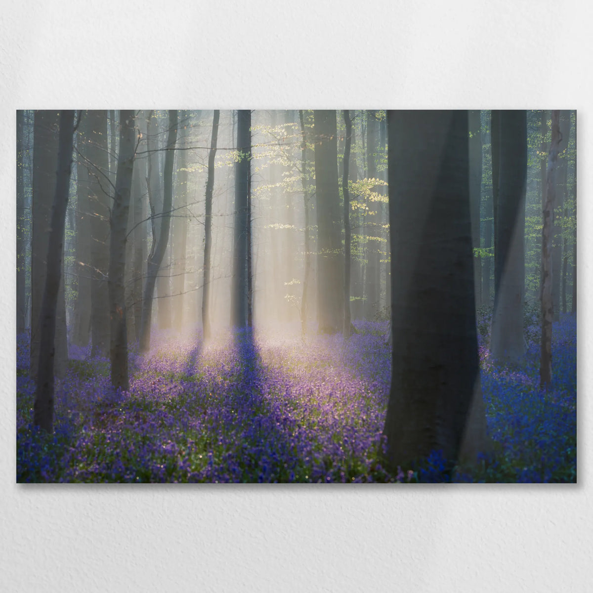 AL-075W050