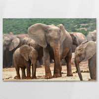 AC-075W050