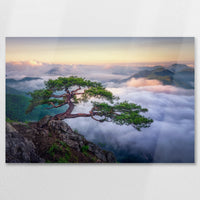 AL-075W050