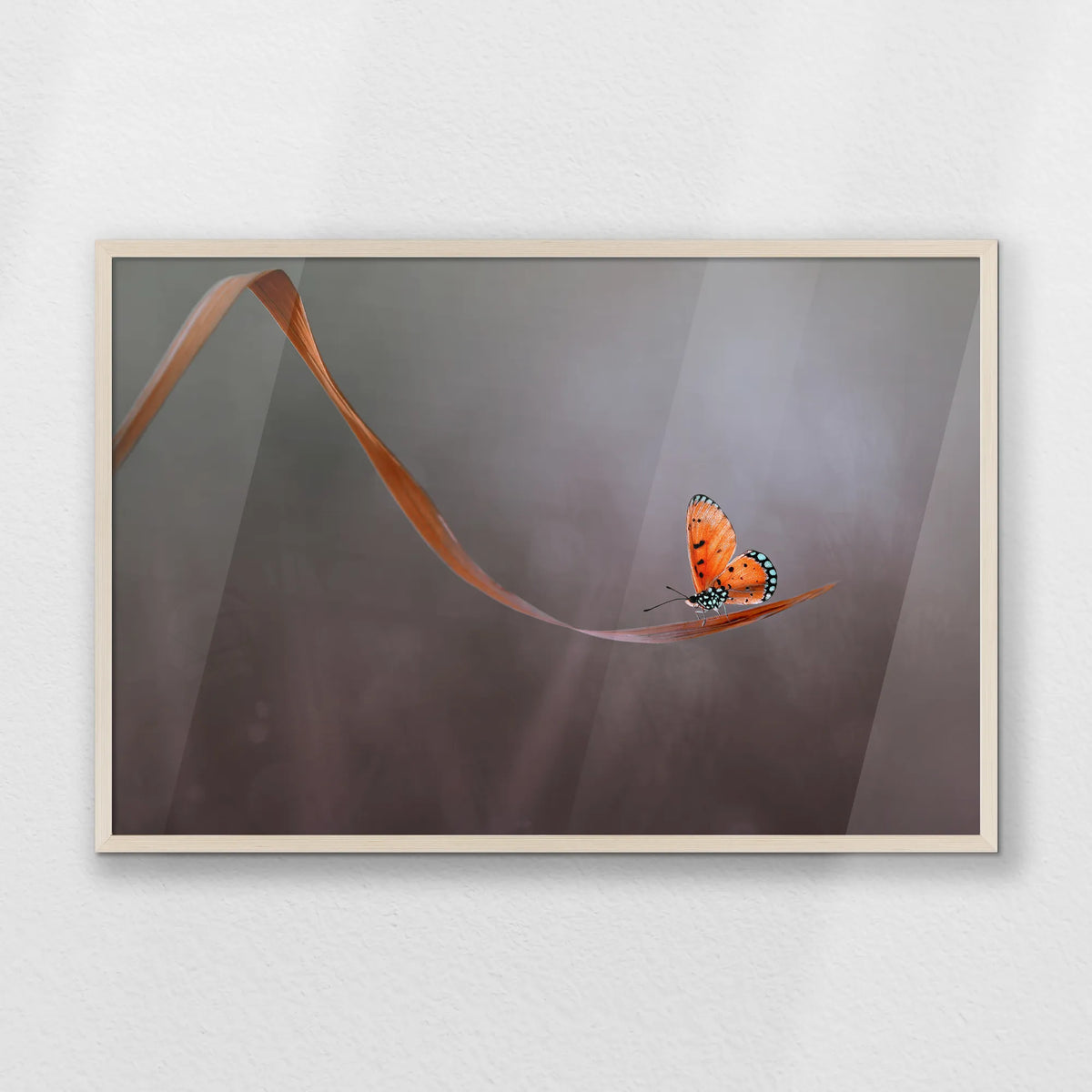 PN-093W062