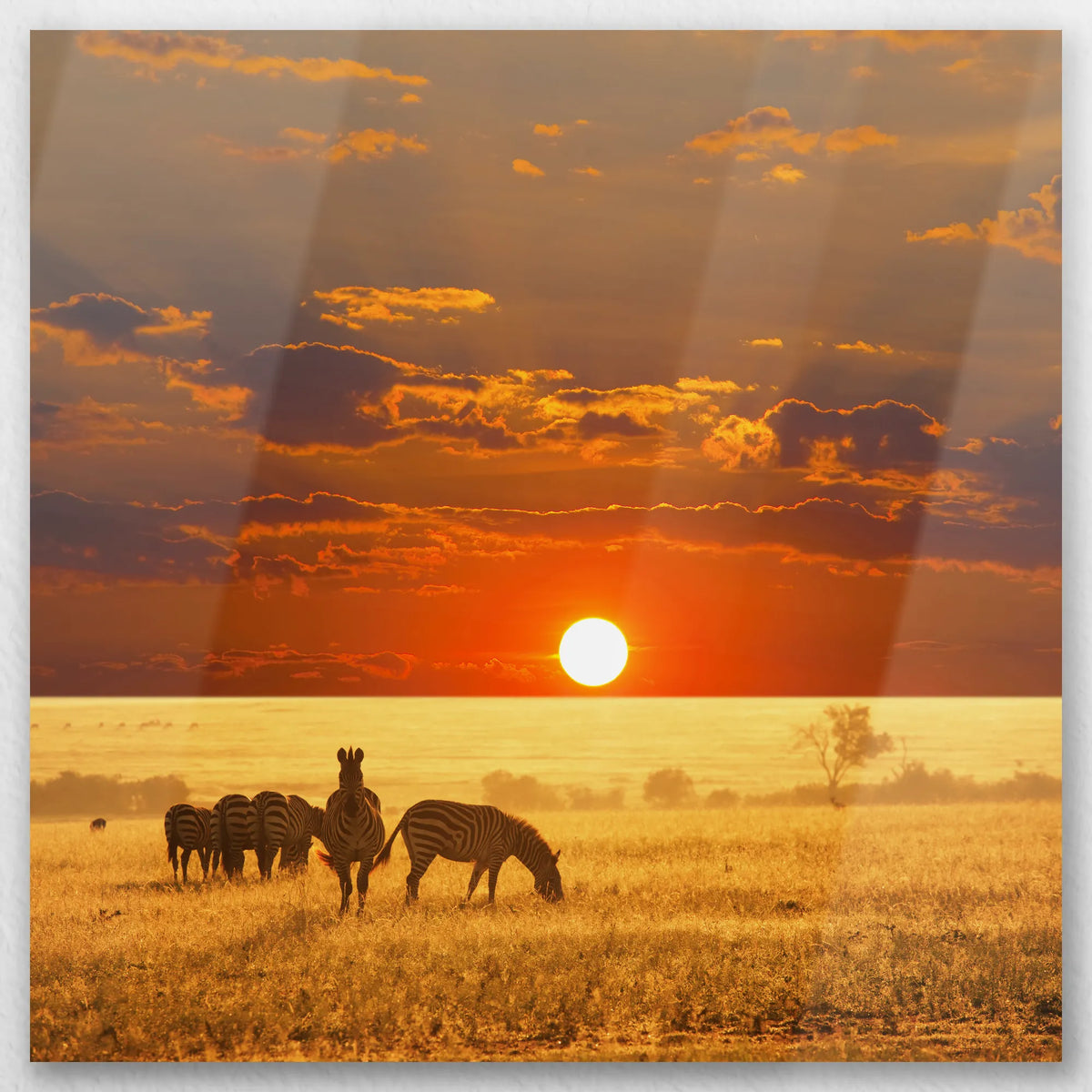 AL-050W050