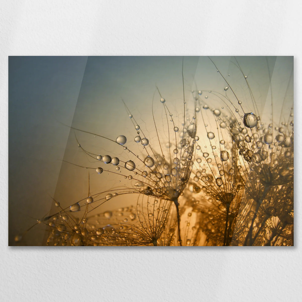 AC-075W050