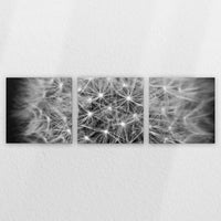 LW-240S080