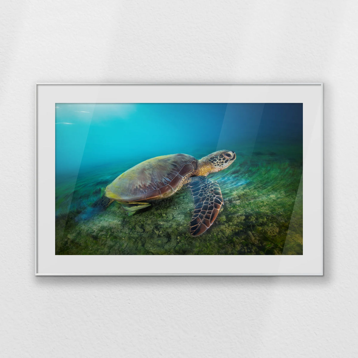 PSP120W080