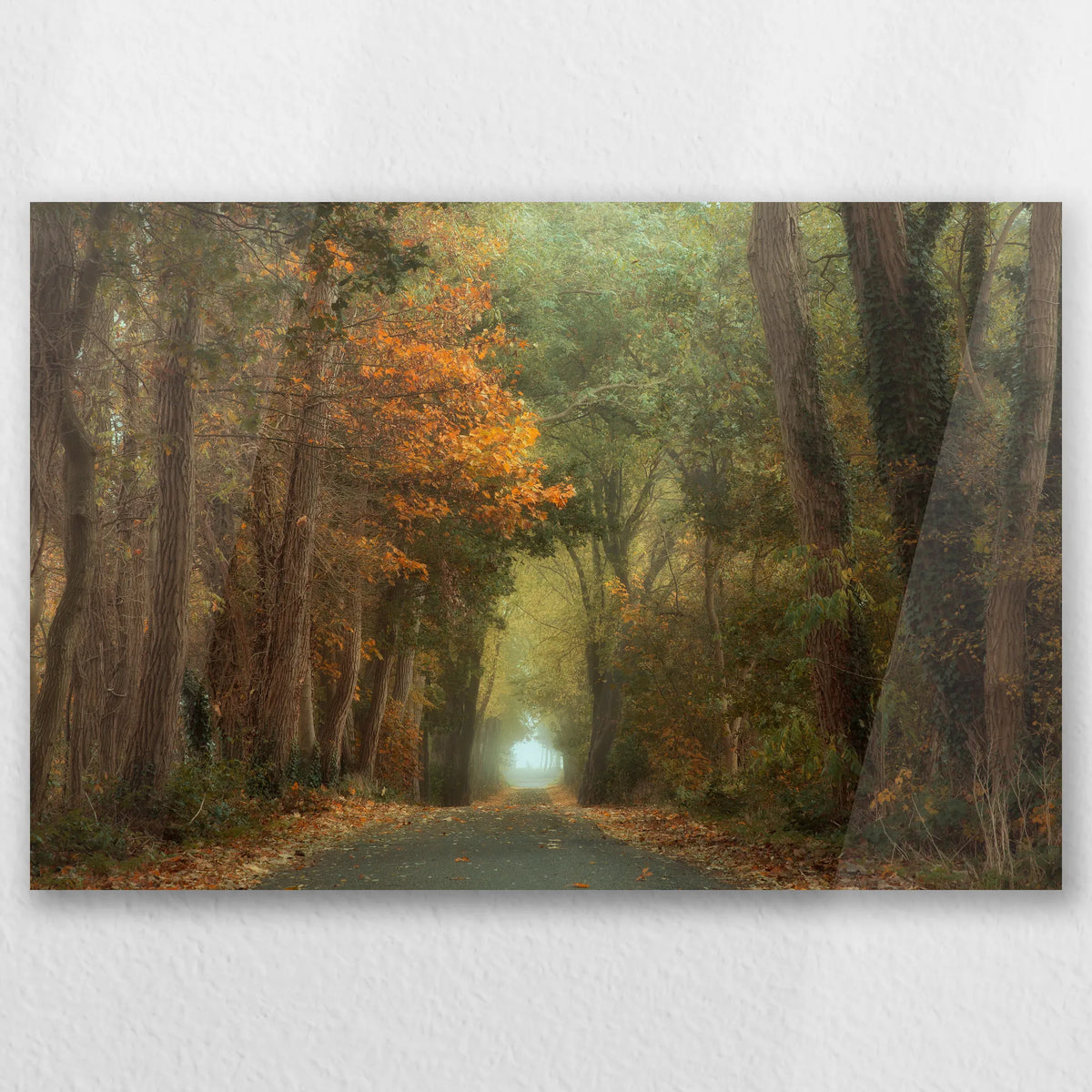 AC-030W020