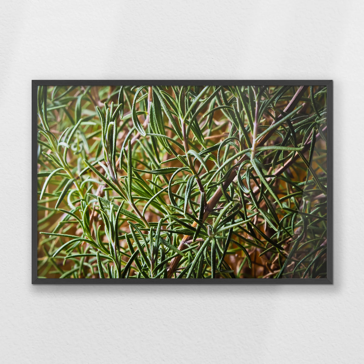 PK-093W062