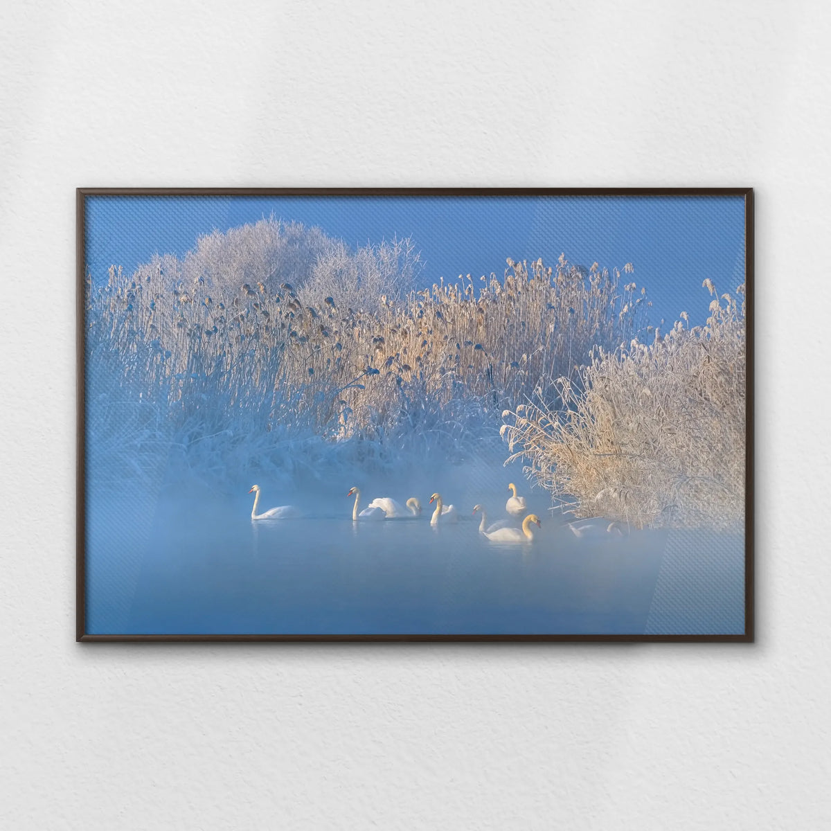 LWN120W080