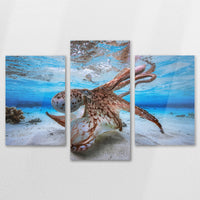 AC-150T100