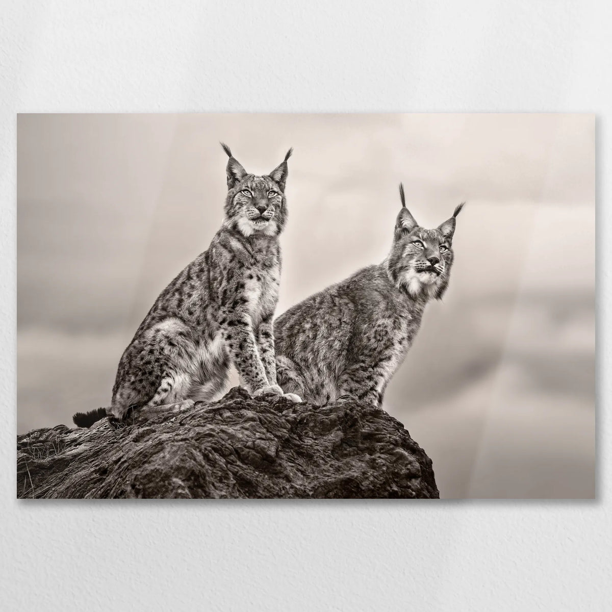 AL-090W060