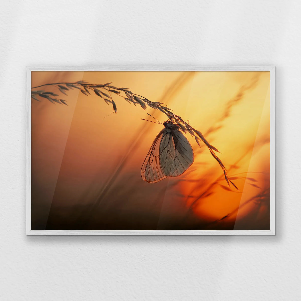 PW-093W062