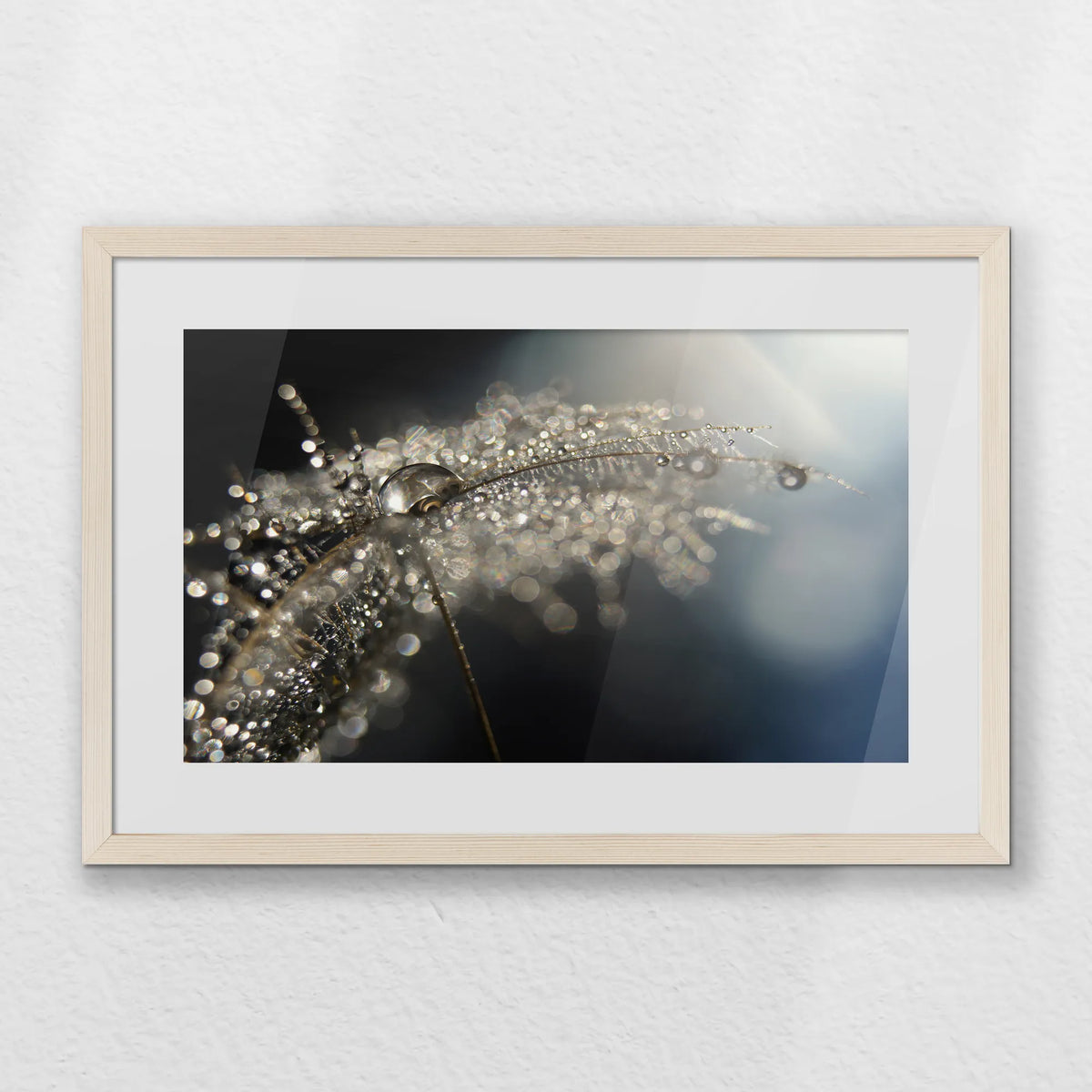 PNP060W040