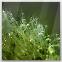 AL-060W060