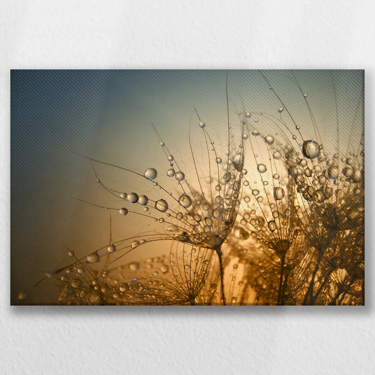 LW-045W030