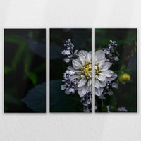 LW-120R080
